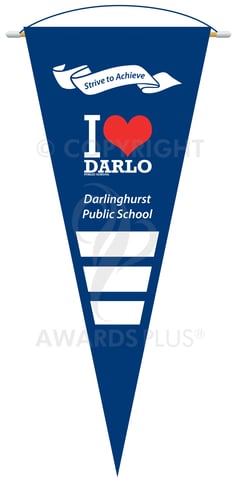 Pennant Design Full Colour